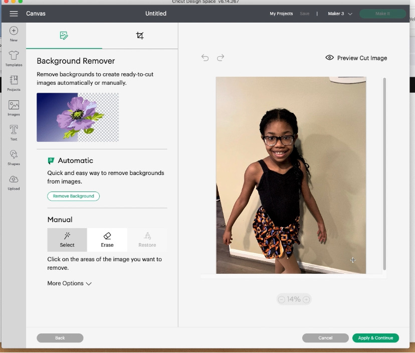 Cricut Design Space Background Removal tool Nhia Lee